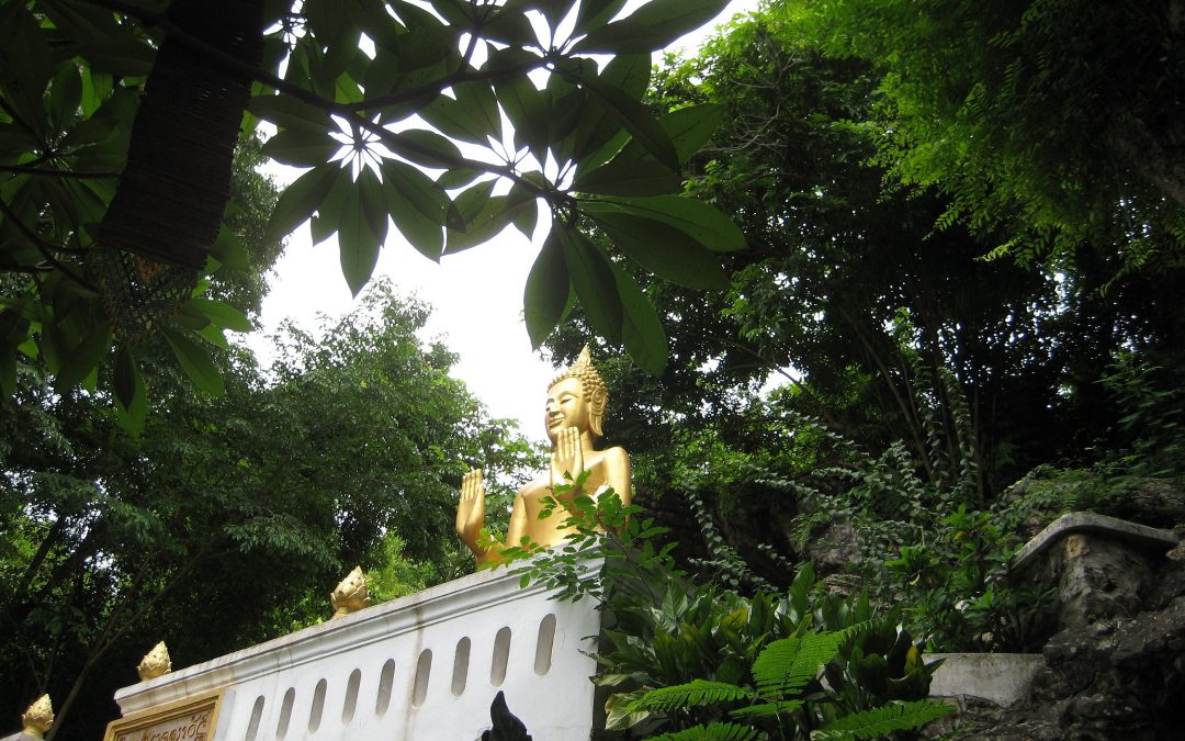 Meditazione: Seminari anno Yoga 2025/2026